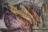 庞冬梅 鱼获NO.2 50×73 cm.jpg