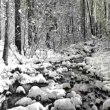 刘哲学《林海雪原》.png