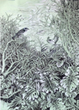 乔鸿芝 《芳林珍羽乐安居》.png